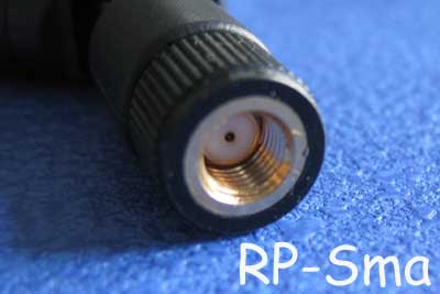 RpSma male